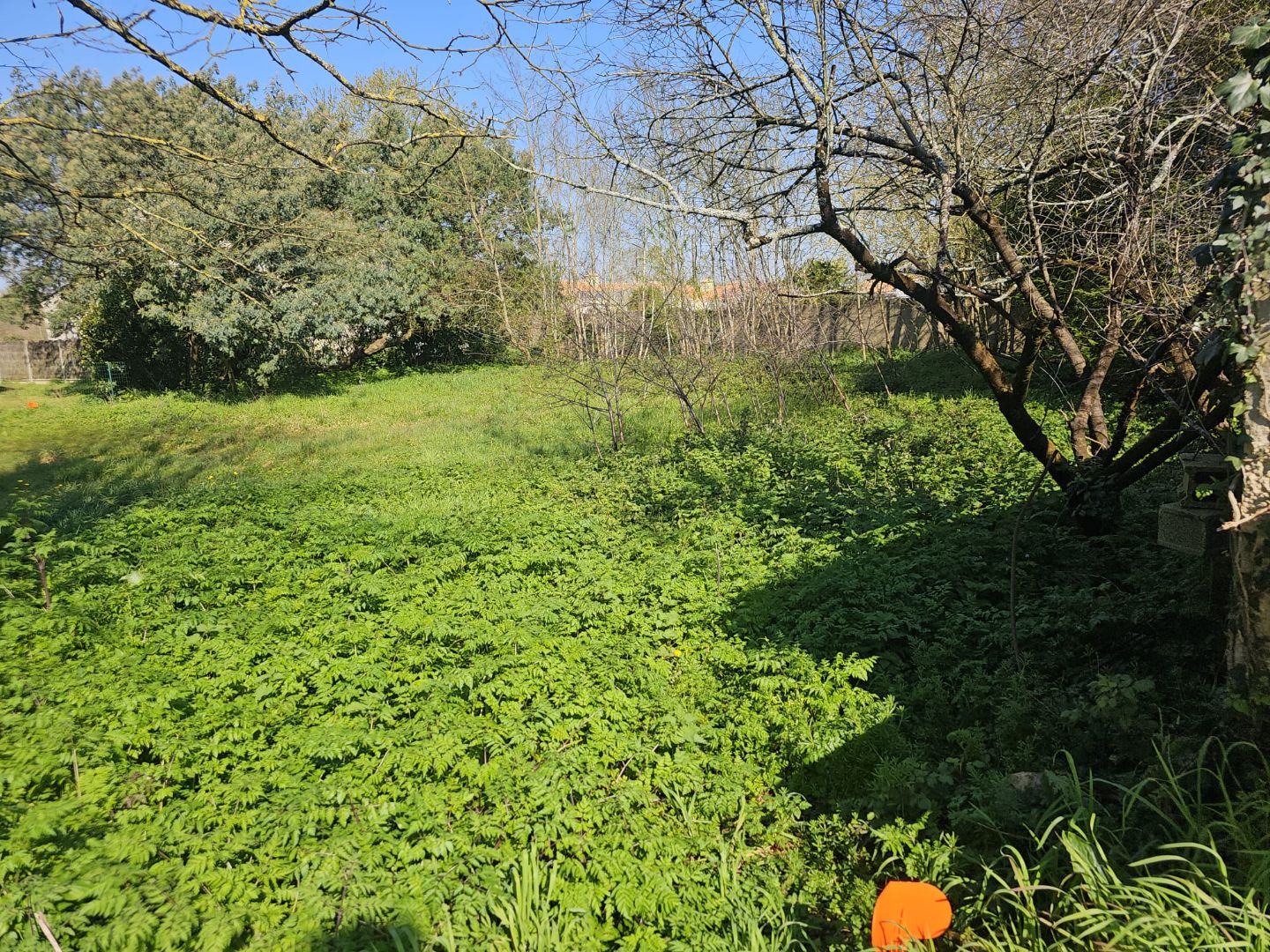 Terrain constructible 605 m² - Sud de Challans